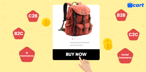 Types of Ecommerce Websites
