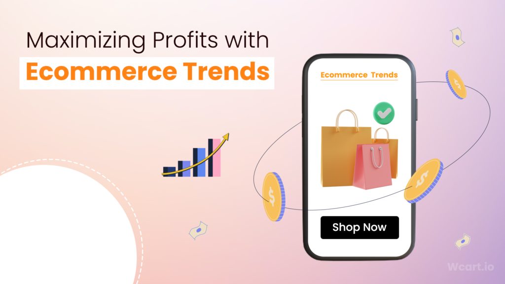 Maximizing Profits with Ecommerce Trends